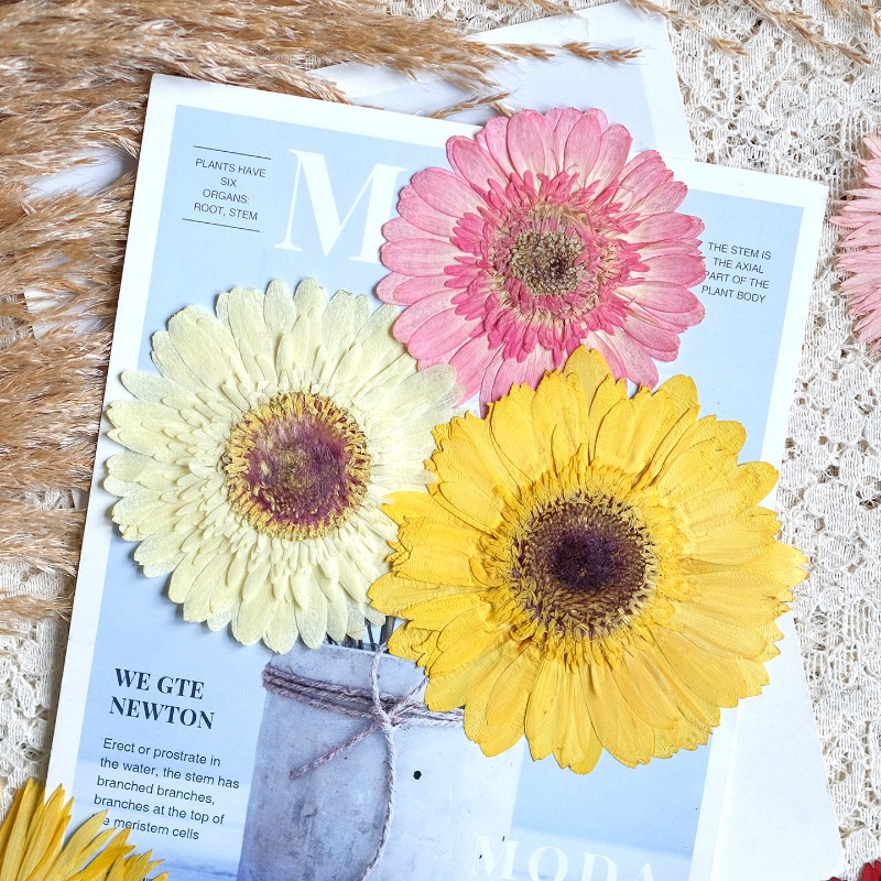 1 pz/7-9 cm, Gerbera pressata  - Resin Craft Ideas recensione e prezzo